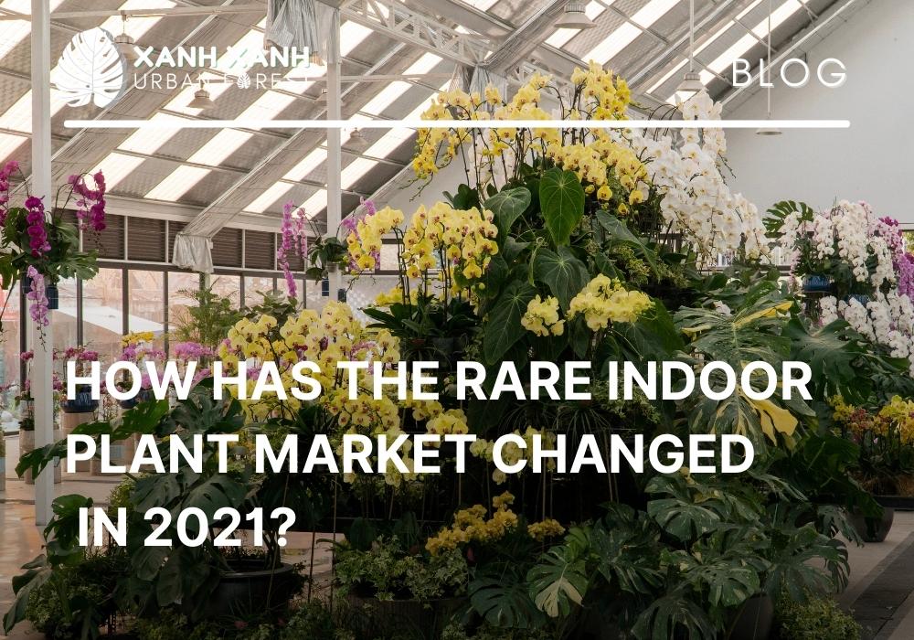 INDOOR PLANT MARKET CHANGED IN 2021